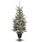 4ft. Pre-Lit Snowy Morgan Spruce Entrance Artificial Christmas Tree, Clear Lights